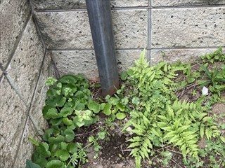 茨城県取手市 引込ポール建替え工事5
