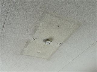 茨城県牛久市　家庭用照明LED化、シーリング化、スイッチ交換工事