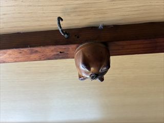 宮崎県宮崎市　照明器具コンセント交換工事