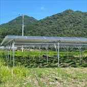 太陽光発電設置工事　愛知県　82.5kw（株式会社はまでん）